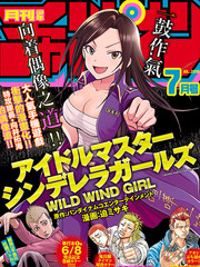 偶像大师 灰姑娘女孩WILD WIND GIRL